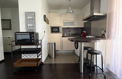 Piscine and golf - Geneva airport - ONU - Foto 3