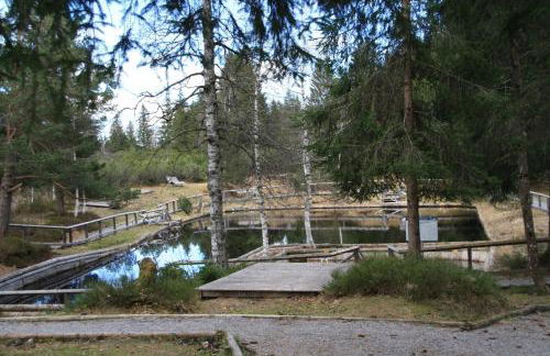 Ferienwohnung Bachmann - Foto 22