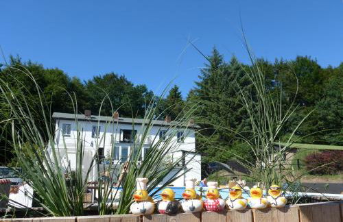 Forellenhof - Foto 37