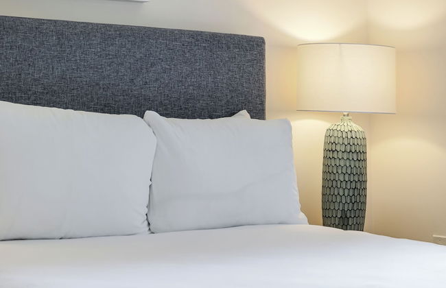 Roami at The Palace - Photo 5