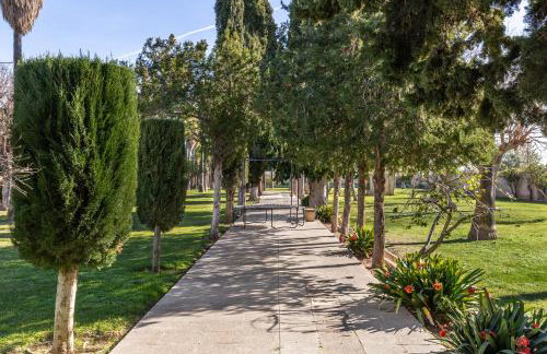 Moli dels Reis - Photo 33