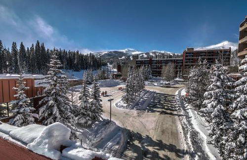 4429 Beaver Run Resort - Foto 30