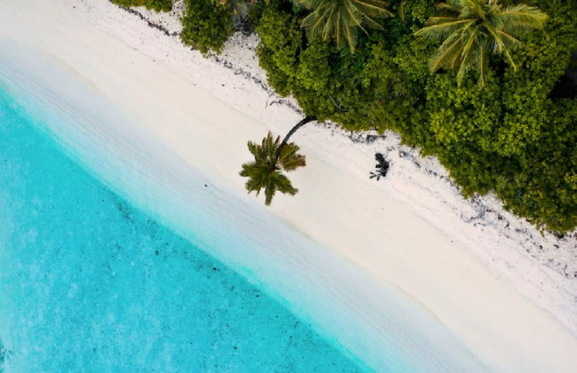 Governors Village Seven Mile Beach Corridor - Photo 37