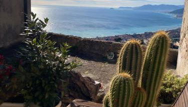 Crosa tra le Nuvole - Foto 3