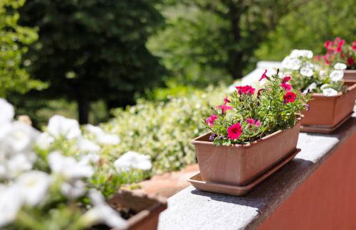 Cascina Manzo - Foto 52