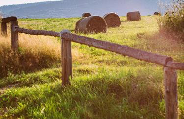 Przewietrzona Głowa - Foto 10
