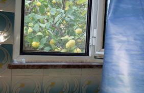 Apartment Dolphins - Photo 33