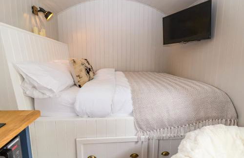 Cariad Mawr - Photo 10