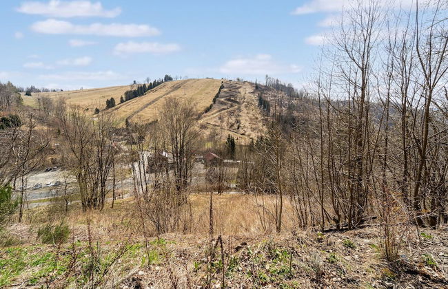 Family Stay in Harz Hills - Foto 40