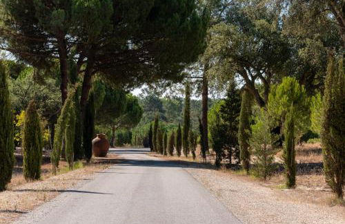 Casas da Horta - Photo 8