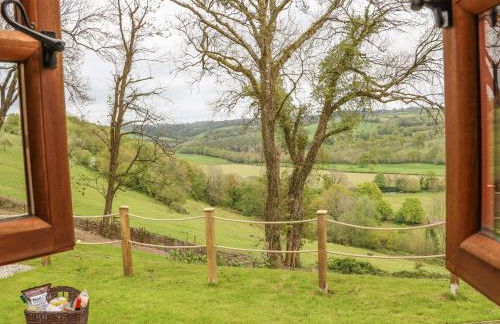 Little Silver Owl - Foto 14