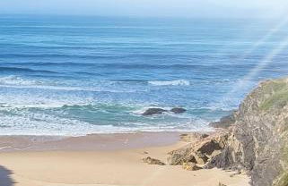 Gecko Pego Longo - Foto 58