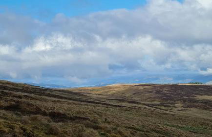 Thistle House Guest House - Foto 71