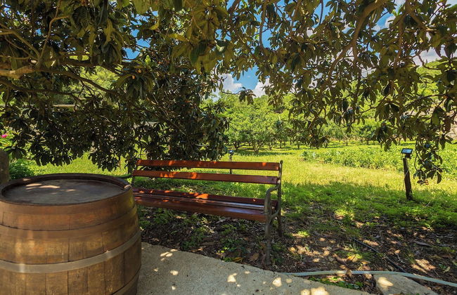 Konavle Apartments Zlatovisce 3 - Foto 18