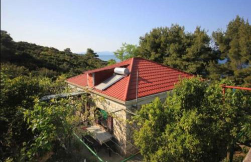 Vila Marijeta - Foto 22