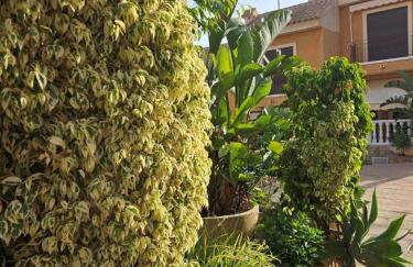 Mirador de Varadero - Photo 43