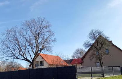 Pokoje gościnne Słoneczny Klon Dąbrówno - Foto 38