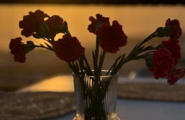 Casa Clara Ocean&Mountains View - Foto 52