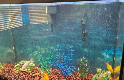 This cute 3 bedroom 2 and half bath is cozy - Photo 31