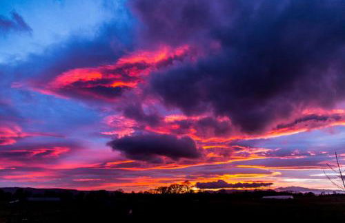 Clashmore Wood - Foto 21