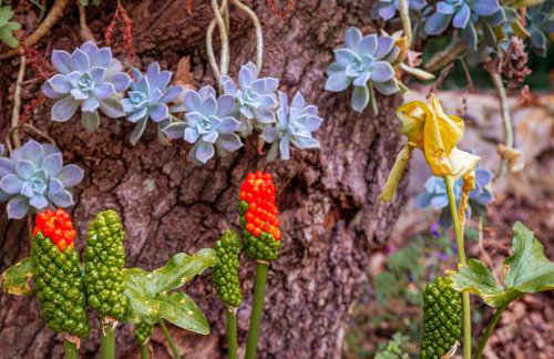 Villa Nevera - Photo 37