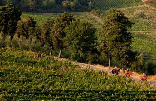 Florence Winery AgriResort - Fattoria Lavacchio - Foto 46