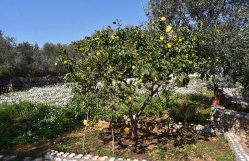 Athina's Stone House in Kardamyli - Foto 9