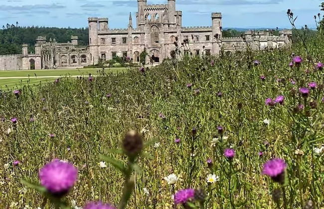 Idyllic Cottage Sleeps 4 pet Friendly - Foto 39