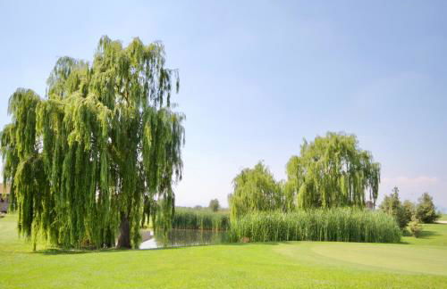 Creative Design House Golf & SPA - Foto 37