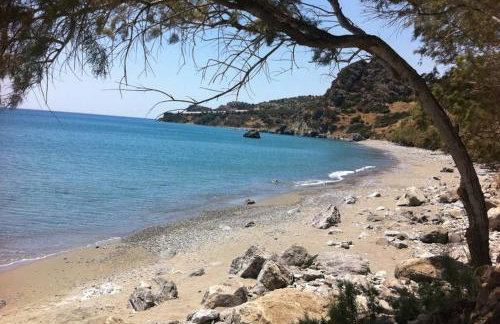 Mini Villas Green - Foto 74