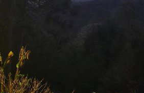 Chalé LuNê Vista para a Montanha , Banheira Imersão Externa e Lareira - Foto 30