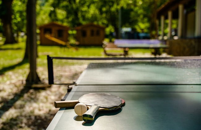 Holiday Resort Medveja - Liburnia - Foto 31