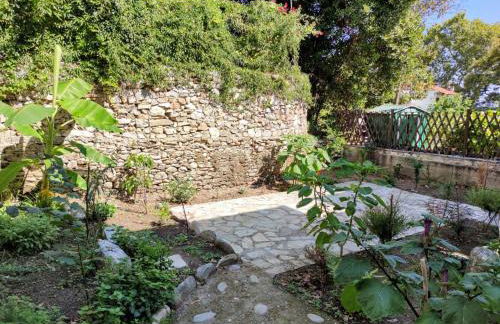 Flower house - Foto 19