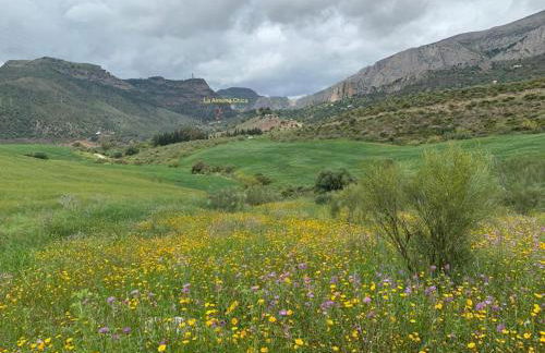 La Casilla- La Almona Chica - Foto 55