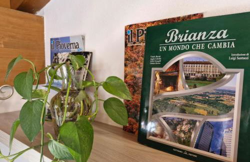 Balcony Lake View Apartment - Foto 57