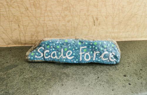 Scale Force - Foto 29