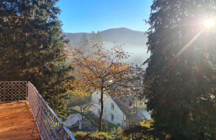 Waldhaus zum gechillten Hirsch in der Natur, bei der Moseltherme Traben-Trarbach - Foto 9