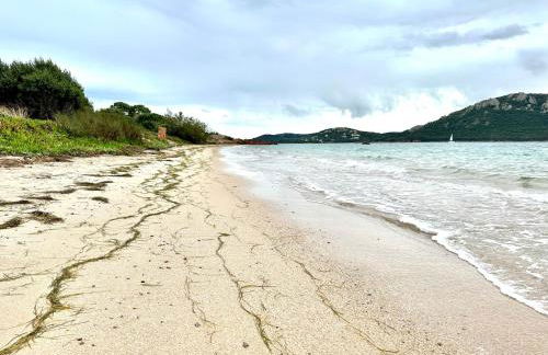 T4 neuf Porto Vecchio Calarossa - Foto 36