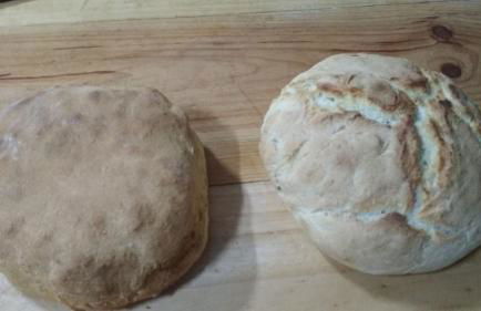 Mas de Leon - Foto 67