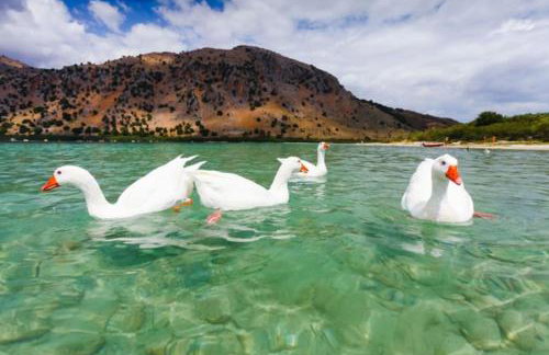 apartment irini - Foto 15