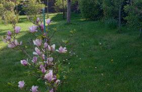 Dom Wakacyjny JM - Foto 6