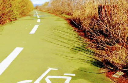 LA PAU DEL DELTA - Foto 41