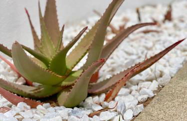 Villa Cristina 9 - Foto 11