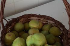 Appartamento del conte - Foto 9