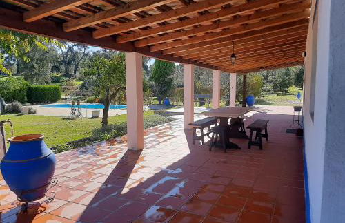 Monte das Laranjeiras - Foto 9