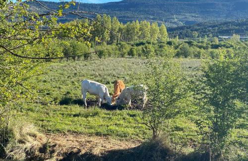 Apartamento en Alcala de la Selva by Family Homes - Foto 47