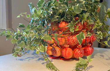 San Vitale Home - Foto 27