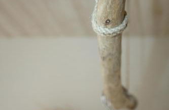 COUP DE COEUR Studio - Foto 58