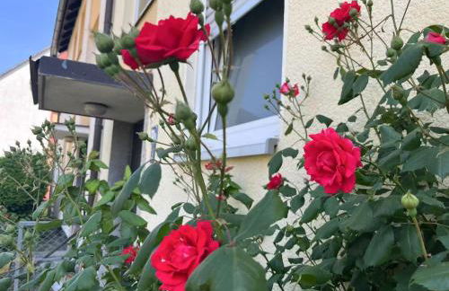 Souterrain-Apartment - Foto 11