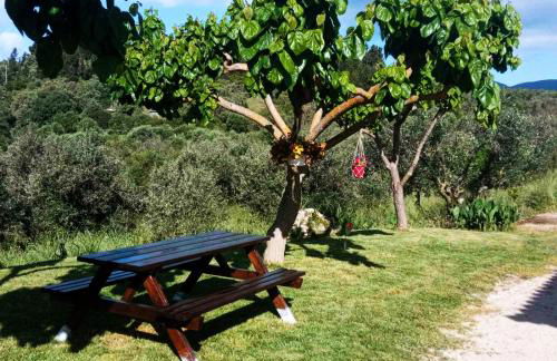 Lily Home_Lefkada ~ Private Country house - Foto 68